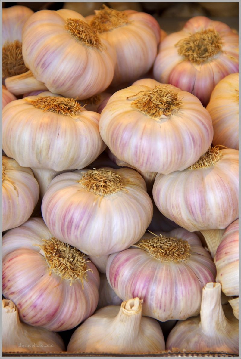 ALHO EXTRA KG